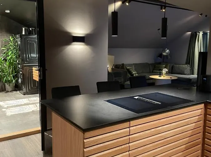 Apartamento 3, Penthouse. Olden